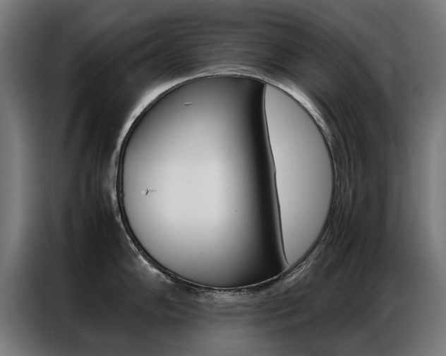 X0000086971102200704161140
