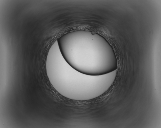 X0000086971109200704161140