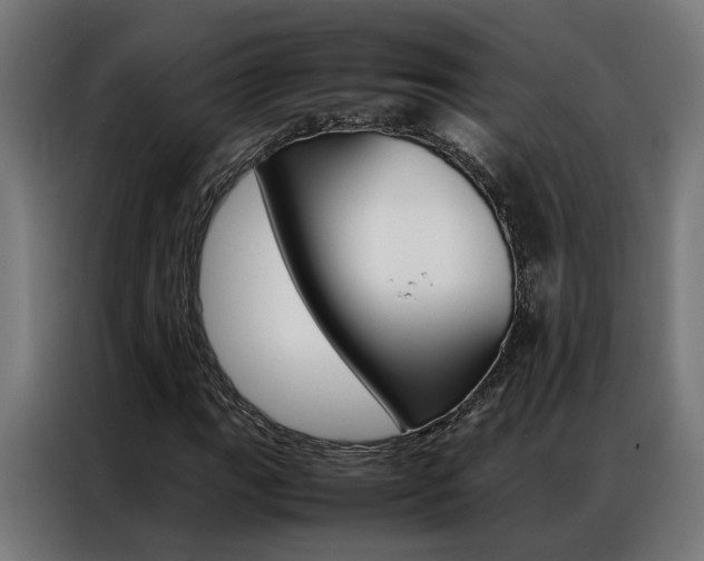X0000086971111200704161140