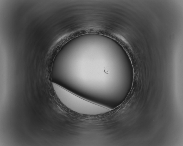 X0000086971112200704161140