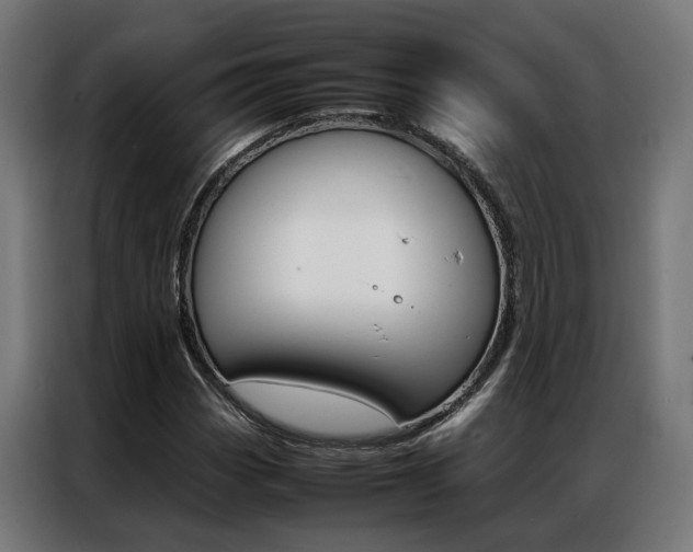 X0000086971113200704161140
