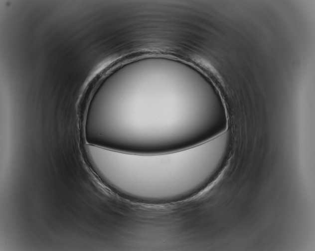 X0000086971114200704161140