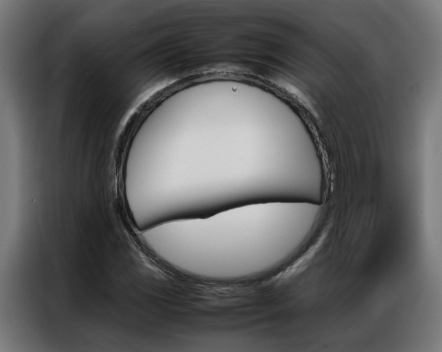 X0000086971117200704161140