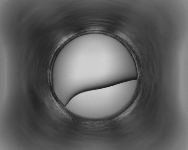 X0000086971121200704161140