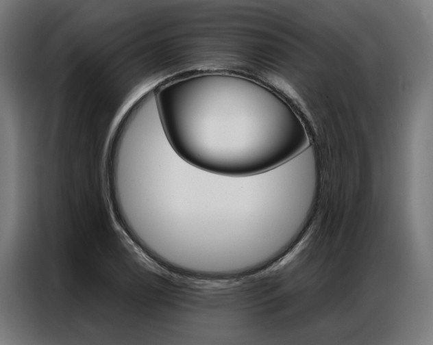 X0000086971122200704161140