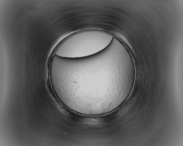 X0000086971125200704161140