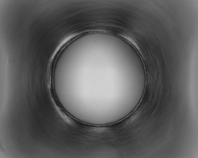X0000086971131200704161140
