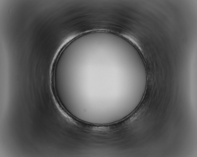 X0000086971135200704161140