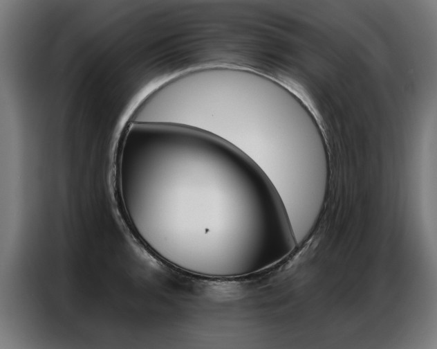 X0000086971136200704161140