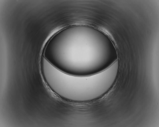 X0000086971138200704161140
