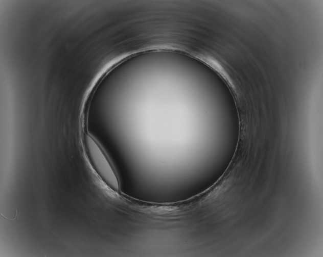 X0000086971140200704161140