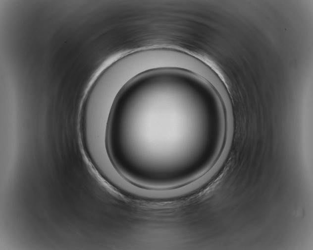 X0000086971142200704161140
