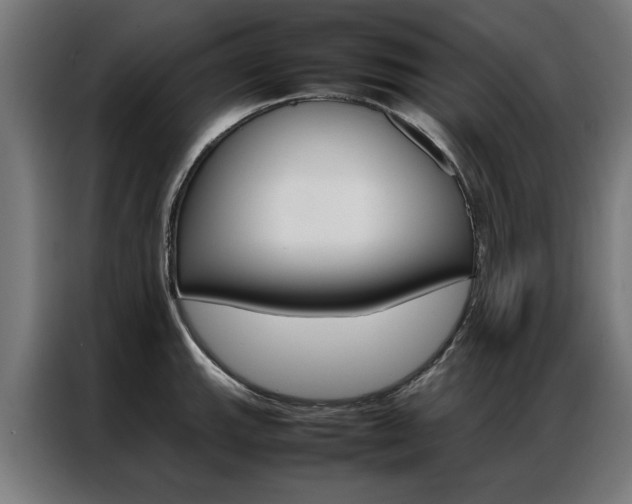 X0000086971143200704161140