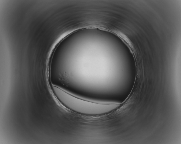 X0000086971144200704161140