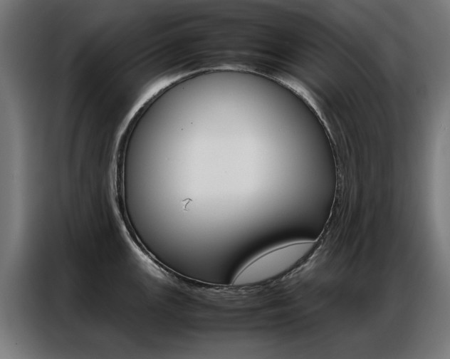 X0000086971147200704161140