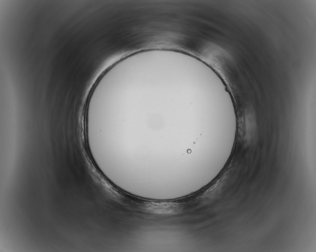 X0000086971150200704161140