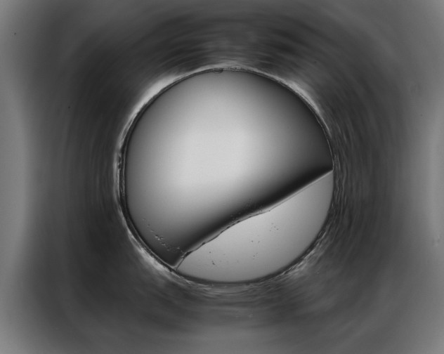 X0000086971151200704161140