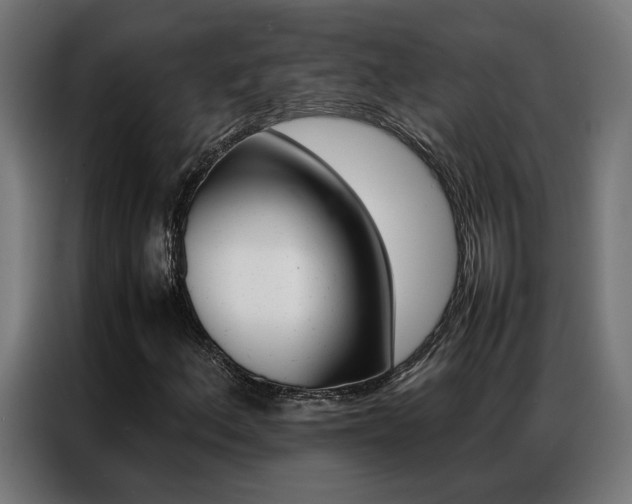 X0000086971156200704161140