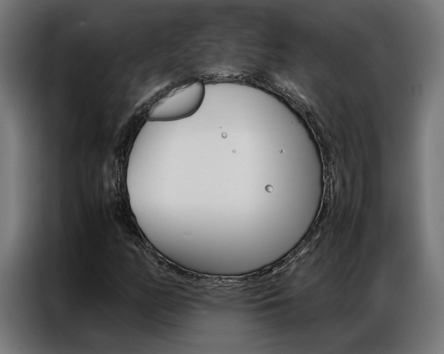 X0000086971158200704161140