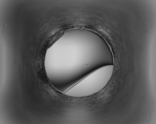X0000086971159200704161140