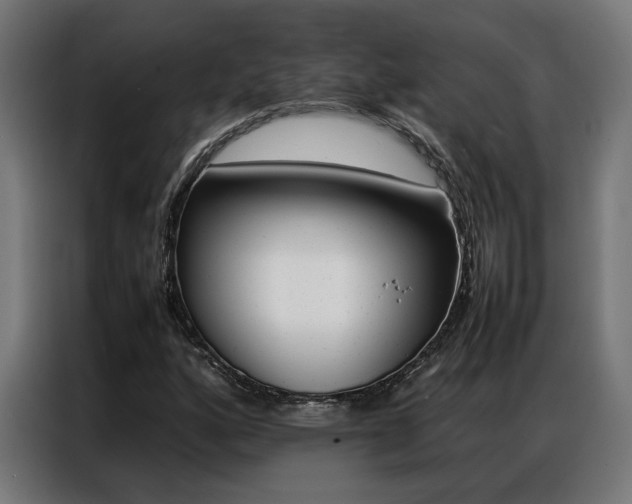 X0000086971160200704161140
