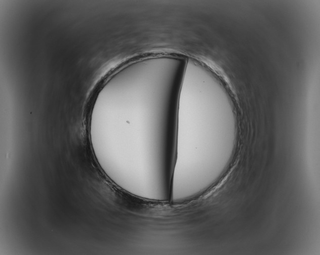 X0000086971167200704161139