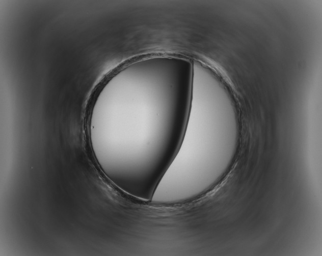 X0000086971168200704161139