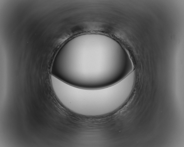X0000086971169200704161139