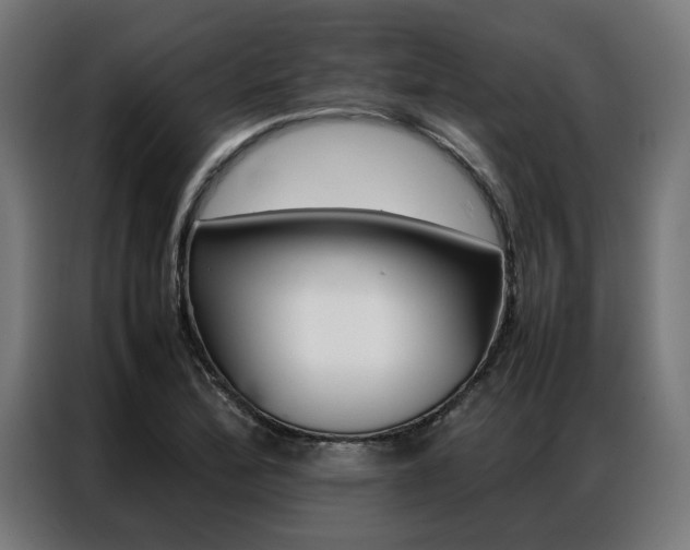 X0000086971172200704161139