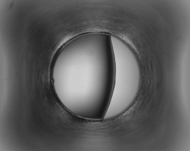 X0000086971173200704161139