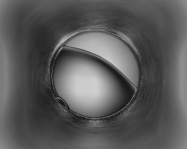 X0000086971176200704161139