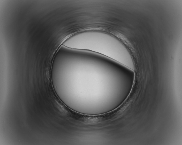 X0000086971177200704161139