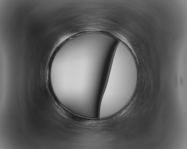 X0000086971179200704161139
