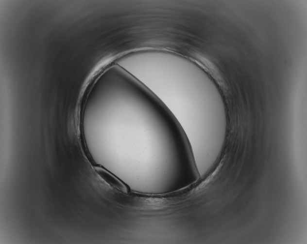 X0000086971180200704161139