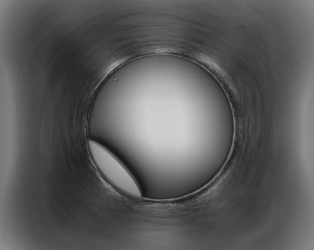 X0000086971185200704161139