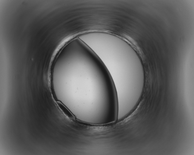 X0000086971188200704161139