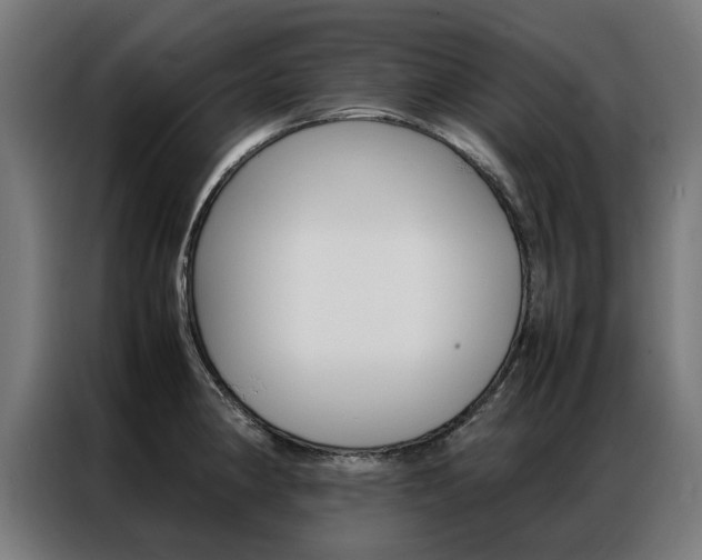 X0000086971190200704161139