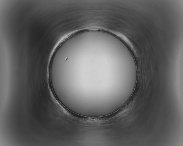 X0000086971191200704161139