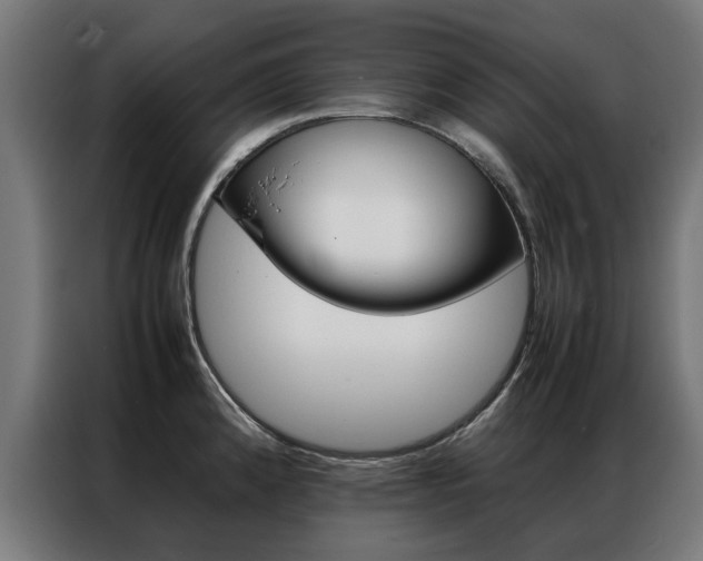 X0000086971192200704161139