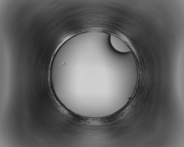X0000086971194200704161139