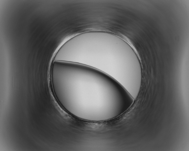 X0000086971195200704161139