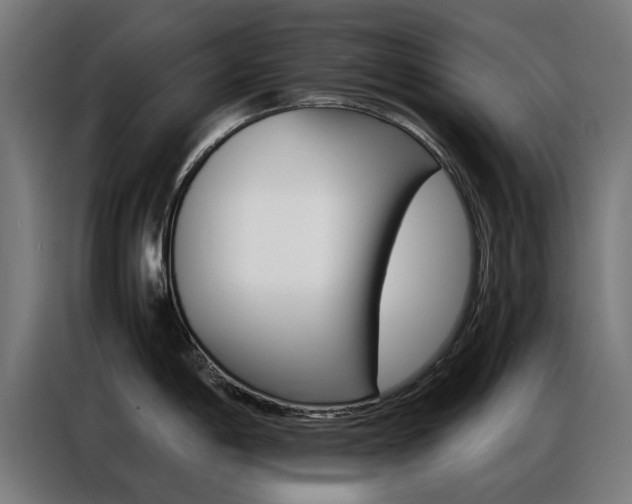 X0000086971198200704161139