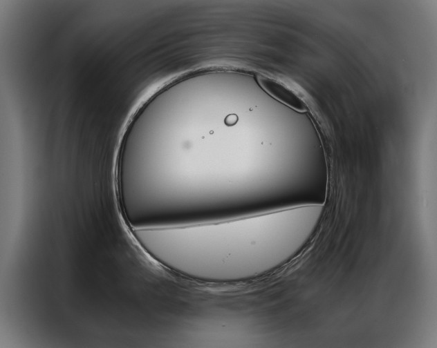 X0000086971199200704161139