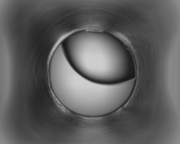 X0000086971200200704161139