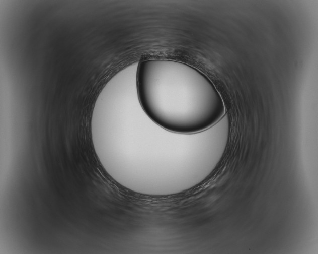 X0000086971202200704161138