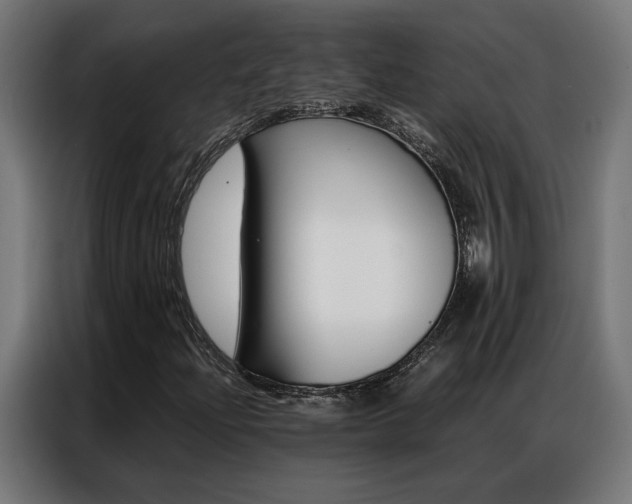 X0000086971204200704161138