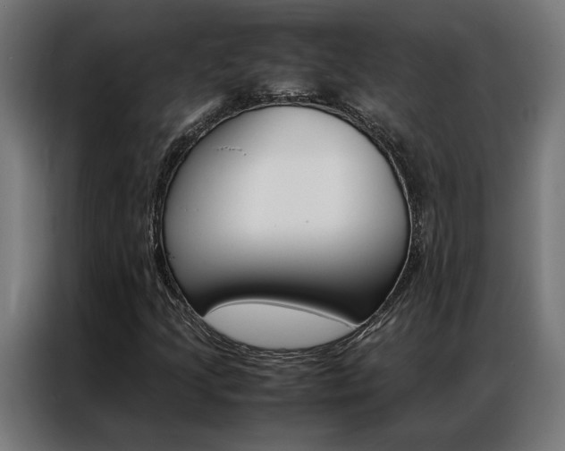 X0000086971205200704161138