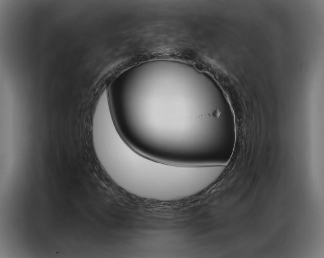 X0000086971206200704161138