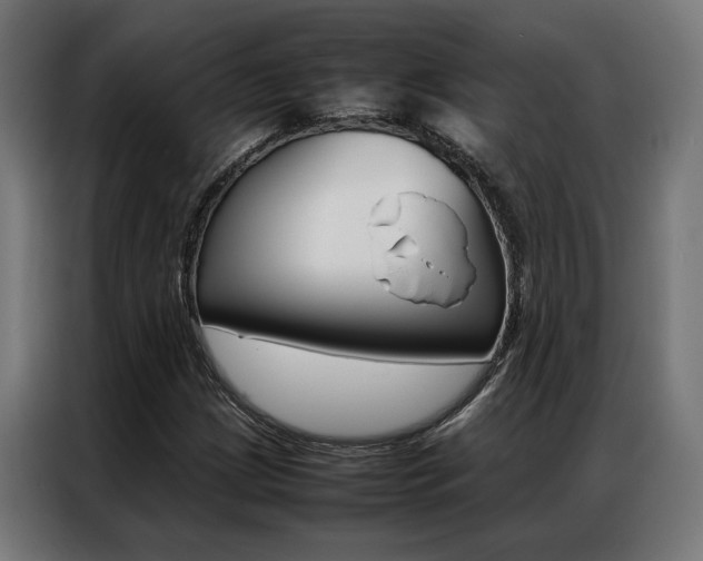 X0000086971209200704161138