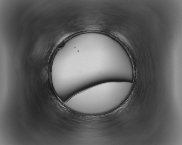 X0000086971212200704161138